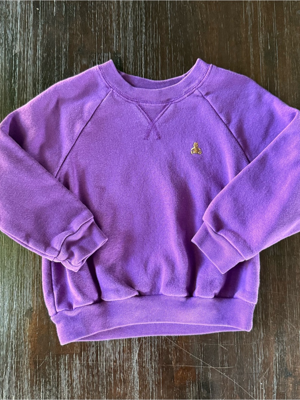 GAP Purple Crewneck Sweatshirt with Small Embroidered Logo